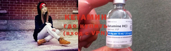 сатива Бронницы