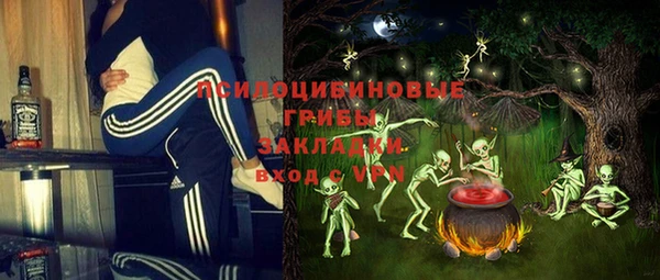 трава Бородино