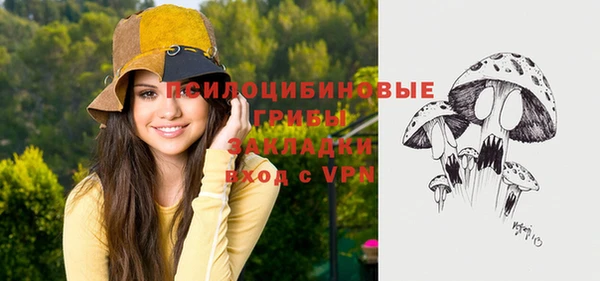 2c-b Богданович