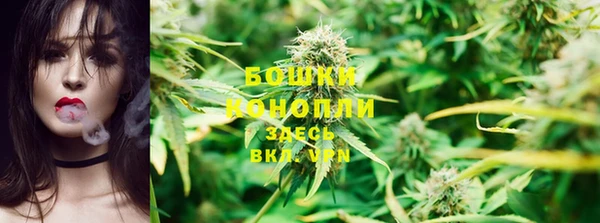 прущая мука Богородицк