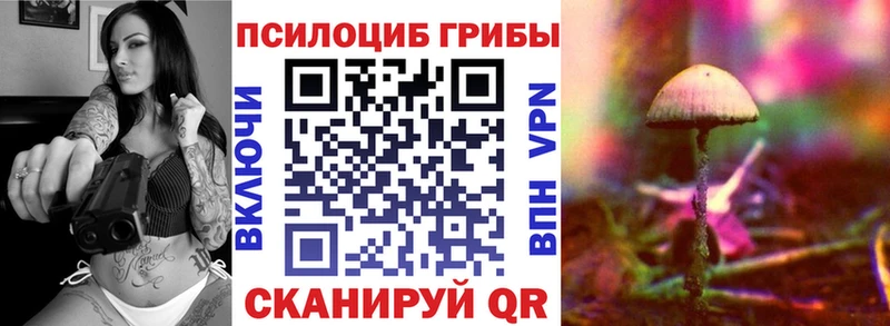 Псилоцибиновые грибы GOLDEN TEACHER Завитинск