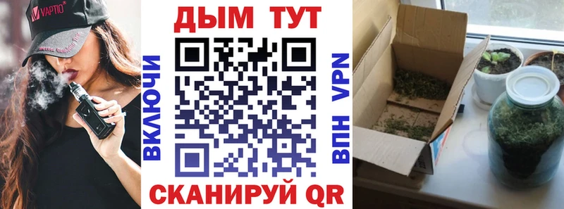 наркота  Завитинск  Шишки марихуана THC 21% 